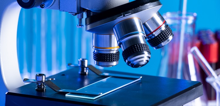 食品接触材料检测：常见术语科普